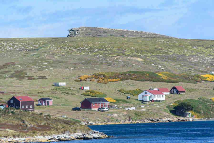 Islas Falkland o Malvinas 053 - New Island.jpg